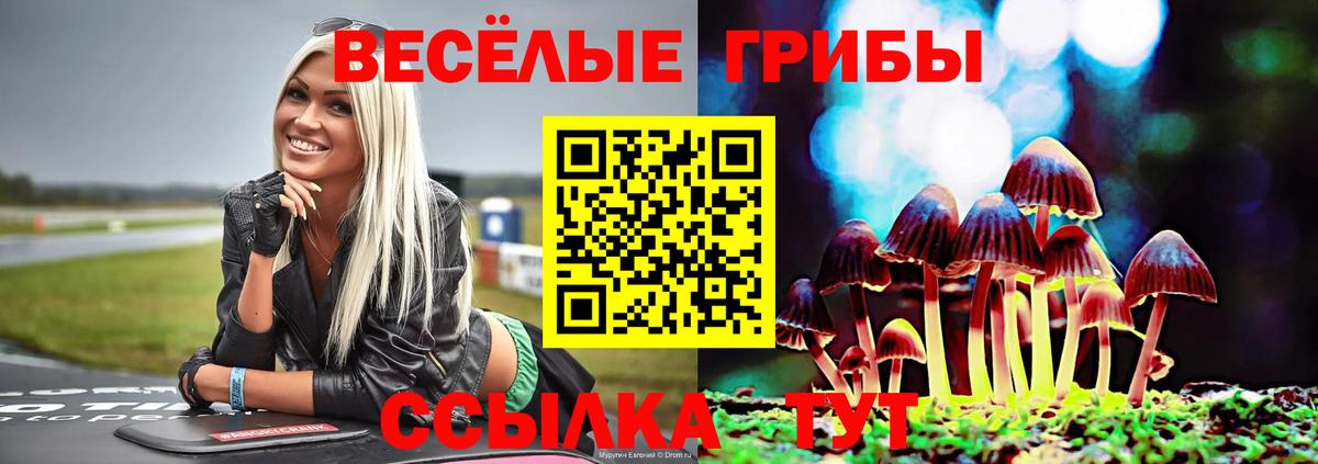 Псилоцибиновые грибы Psilocybe Коломна